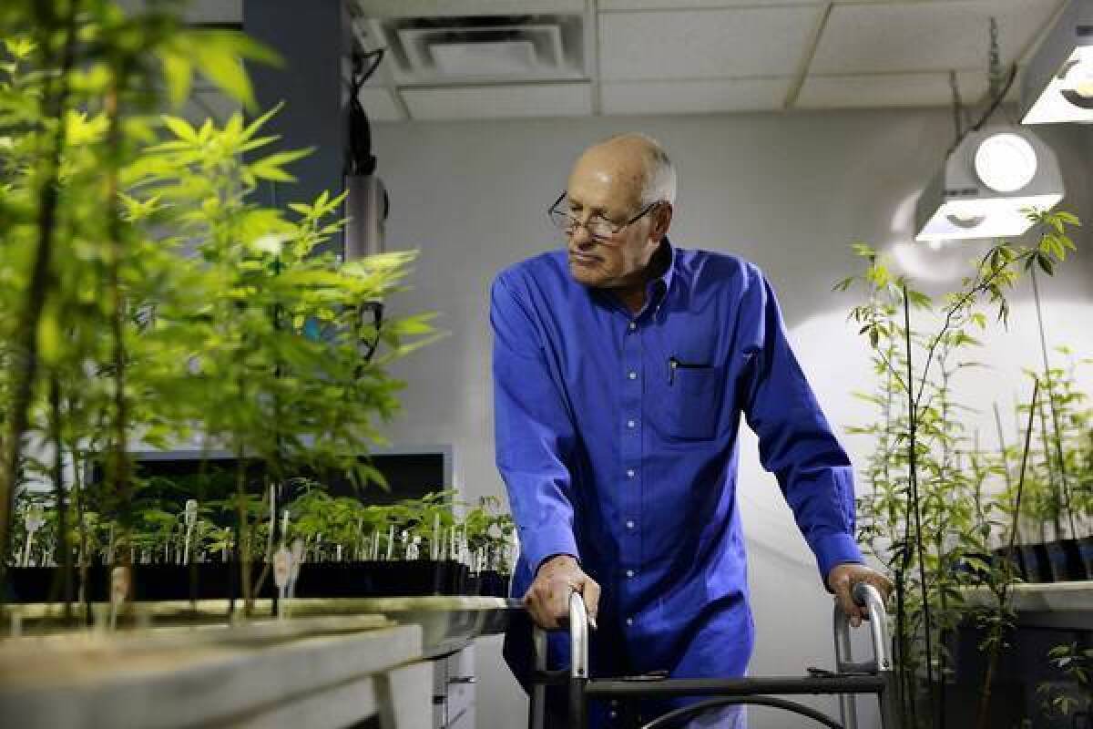 L.A. City Councilman Bill Rosendahl is shown at the Herbalcure pot dispensary. He says his medical marijuana regimen wiped out the cancer pain that once had him writhing in bed, incapacitated.