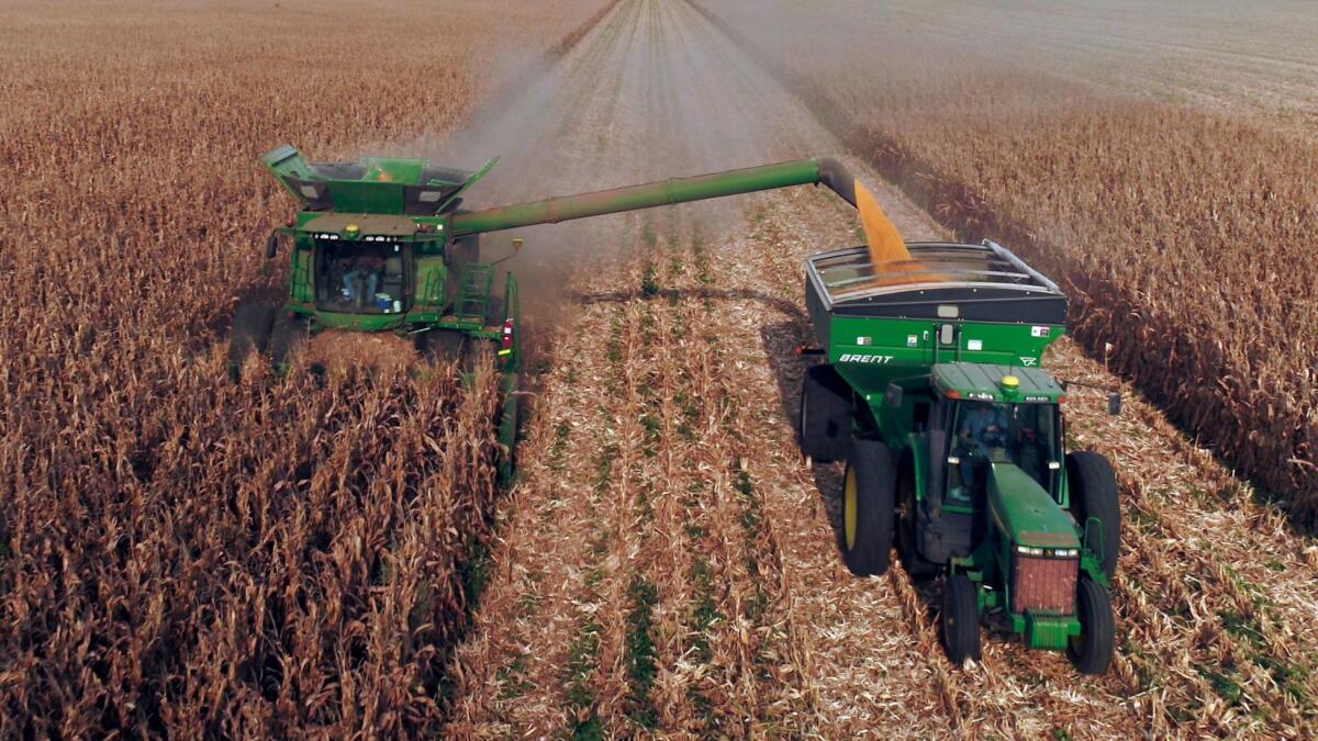 Corn is harvested on a family farm in Kansas.