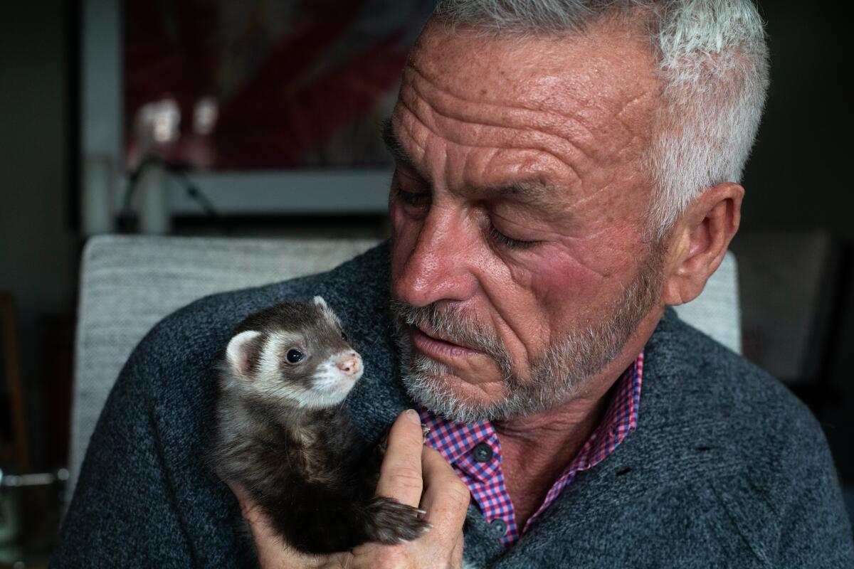Pat Wright, 63, holds his ferret named Merlin.