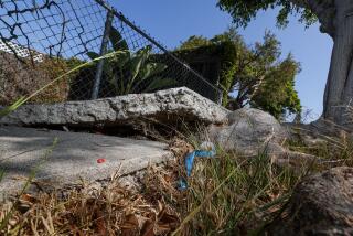 Venice, CA, Tuesday, August 13, 2024 - A profoundly damaged sidewalk slab on Nowita Place. Dennis Hathaway, who lives in Venice and blogs about aging, thinks bad sidewalks are a senior hazard. We go for a walk in his neighborhood with him and his wife, Laura Silagi. (Robert Gauthier/Los Angeles Times)