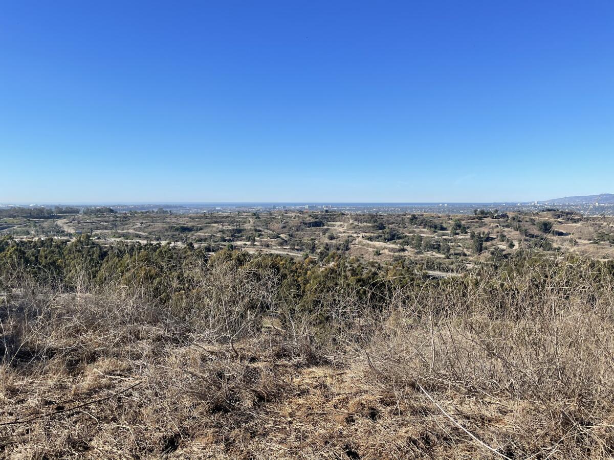 The view from Inspiration Point in Kenneth Hahn state park looks out on a dirt landscape dotted with oil pumps.