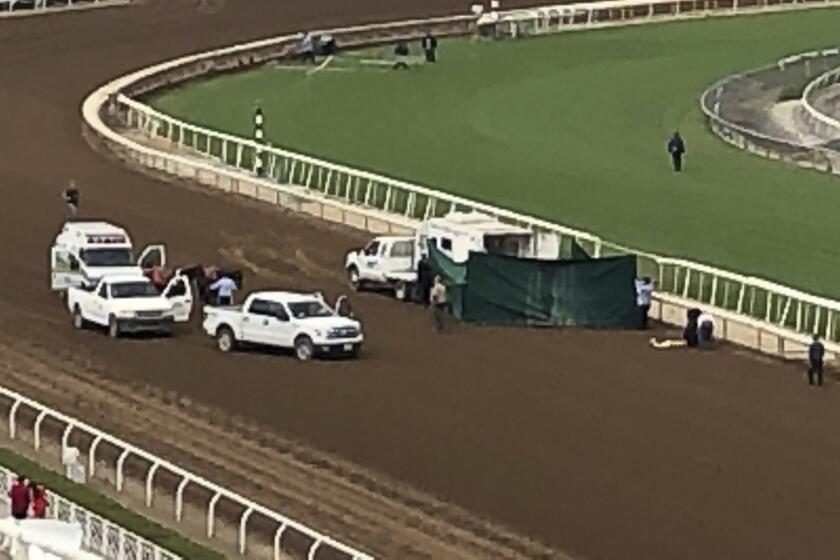 Track personnel attend Emtech, a 3-year-old colt, after he went down in the stretch at Santa Anita Race rack in the eighth race in Arcadia, Calif. on Saturday, Sept. 28, 2019 and tossed two-time Kentucky Derby-winning jockey Mario Gutierrez. Gutierrez, the 32-year-old rider who won the Kentucky Derby in 2012 and 2016, was taken away by ambulance. (AP Photo/Beth Harris)