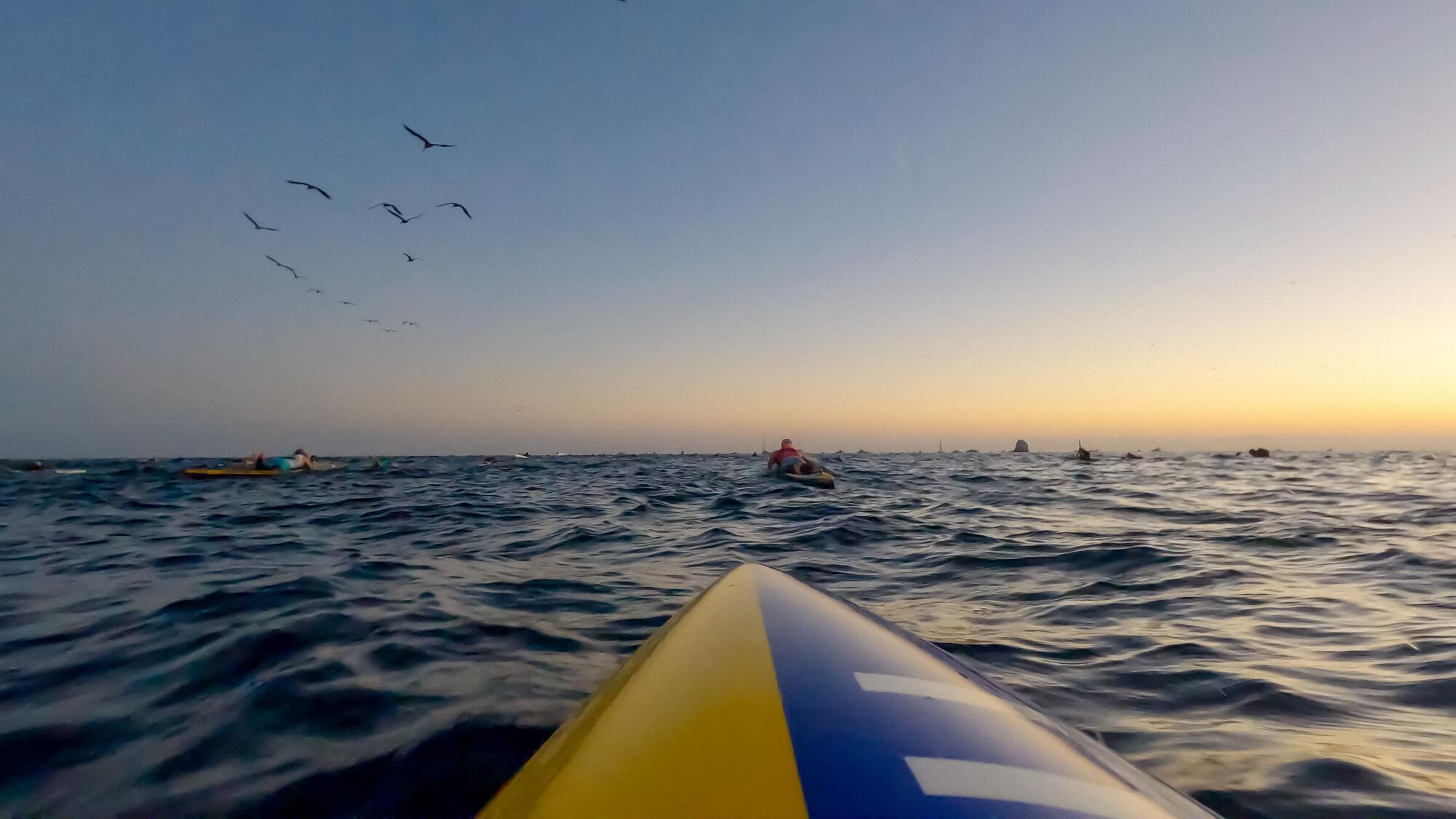 2023 Catalina Classic'te yarışçılar okyanusta elle kürek çekiyor.