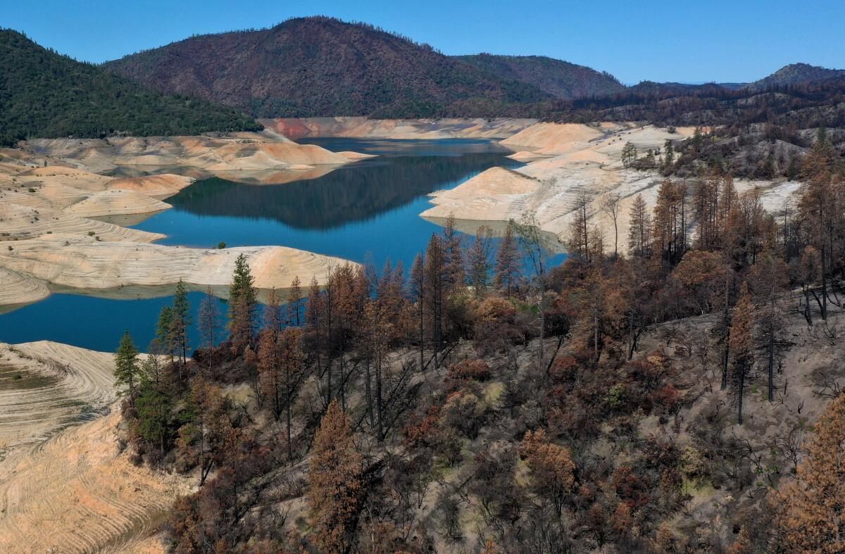 A look at a fire-blackened hillside and trees next to Lake Oroville, Calif., where water levels are low.