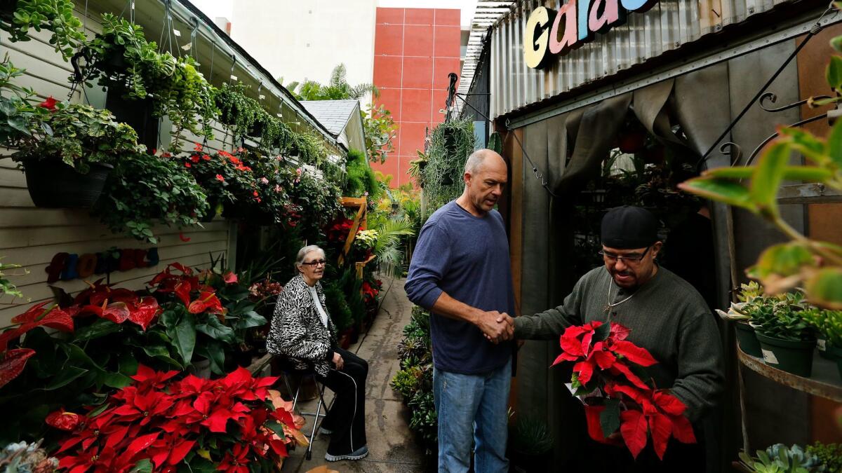 Mickey Hargitay shakes hands with Virgilio Guzman as he makes his way with a poinsettia. Guzman is a maintenance worker at the nursery.