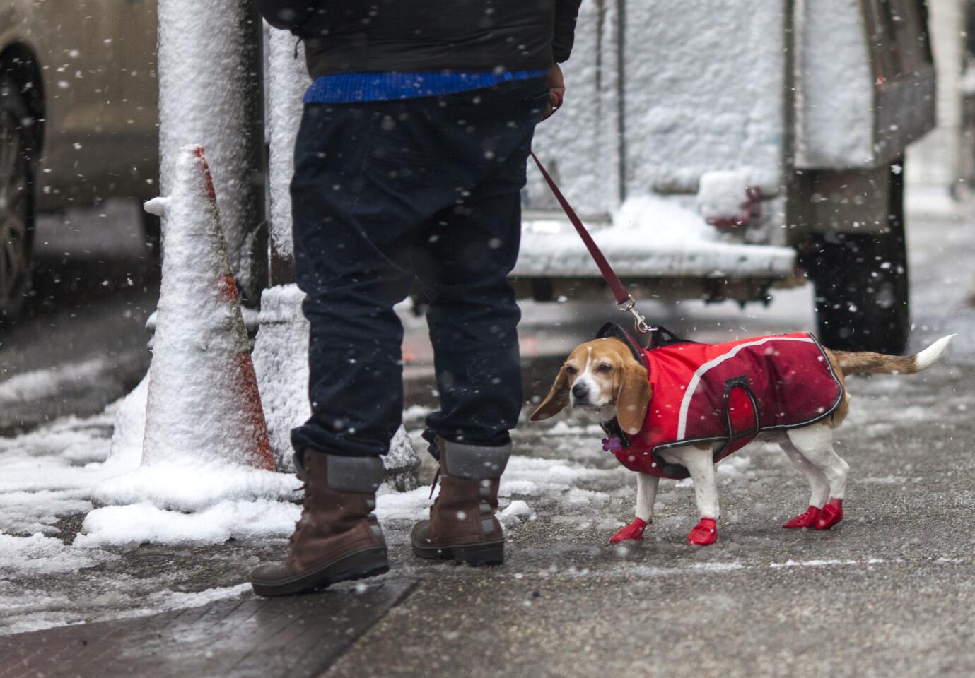 Major snowstorm pounding East Coast