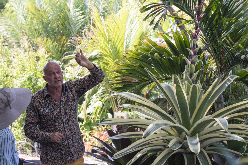 René van Rems, creative director at the San Diego Botanic Garden, led the design of the exhibition.