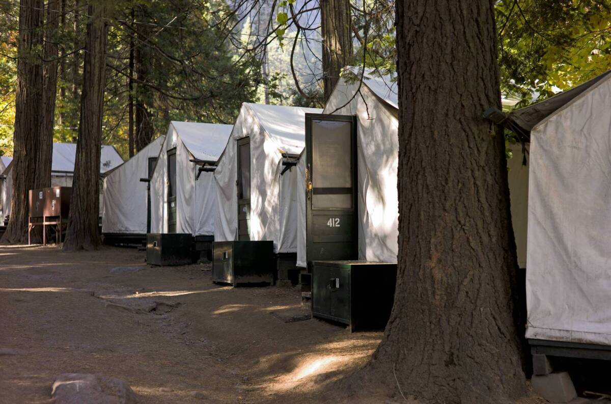 Signature tent cabins at Curry Village in Yosemite National Park have been closed as crews clean the structures and tear out wooden interior walls, where they have found deer mouse droppings and nests in the insulation, a park spokeswoman said. Guests have been relocated to other areas of the park.