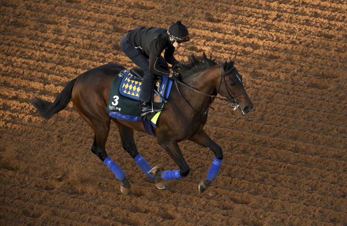 Country Grammer gallops during a morning workout at King Abdulaziz racetrack.