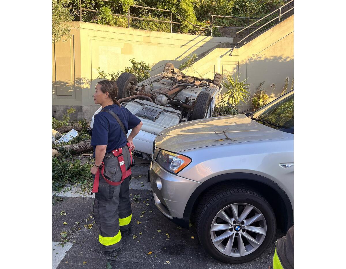 A firefighter stands next to an upside-down car lying on top of a toppled tree on a sidewalk next to a stairway