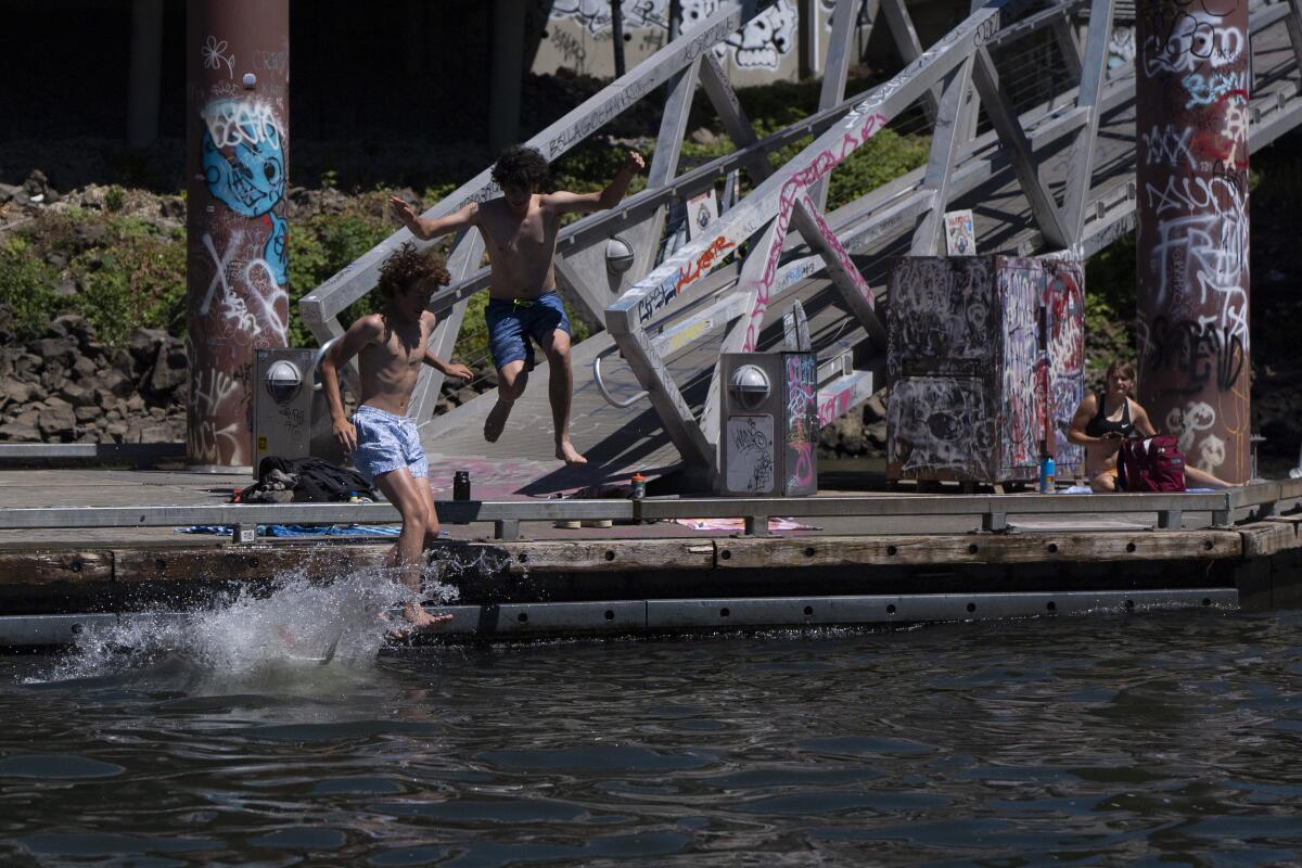 People jump off a dock into water.