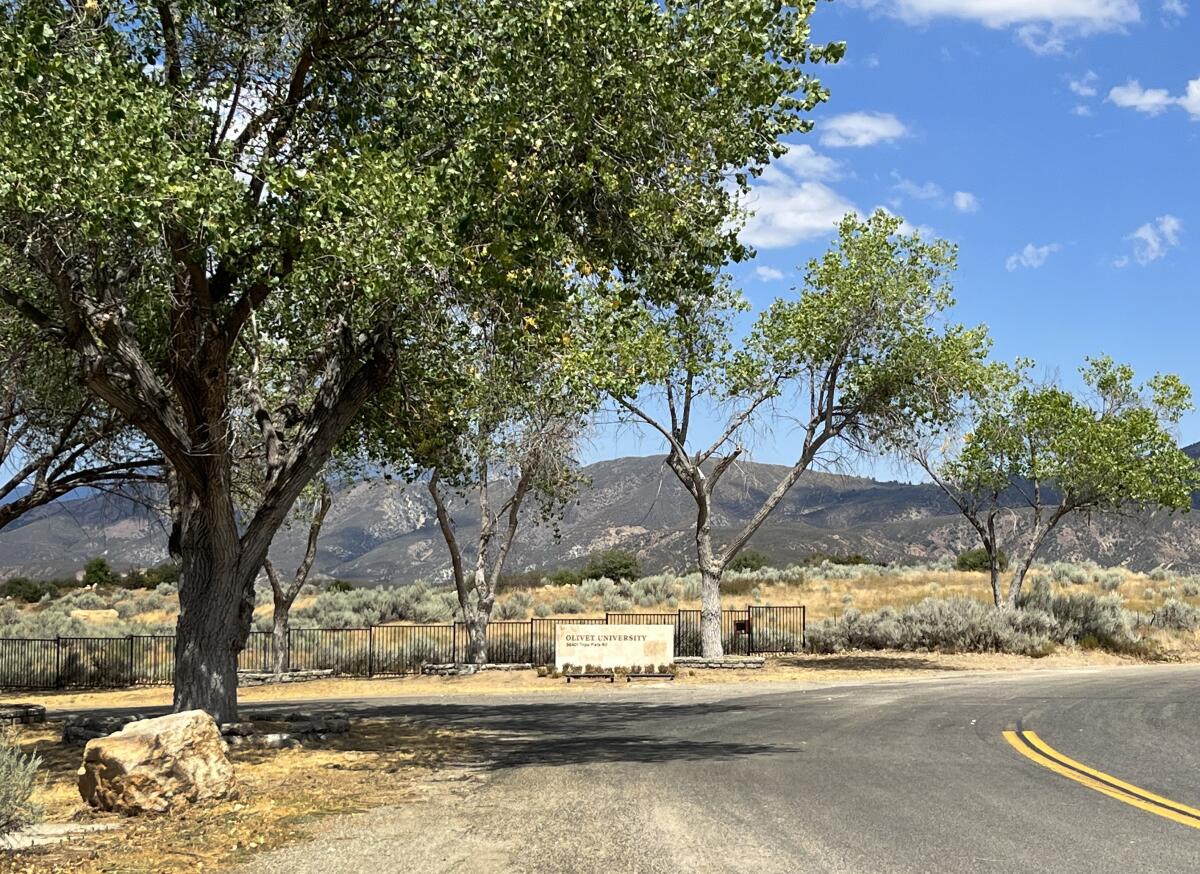 A high desert roadway with with trees and mountains in the background