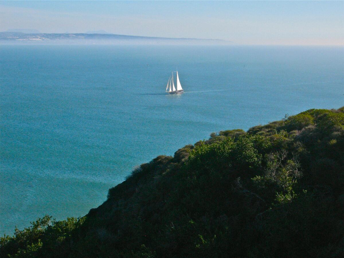 The view from Cabrillo Point as a historic schooner enters San Diego Bay.