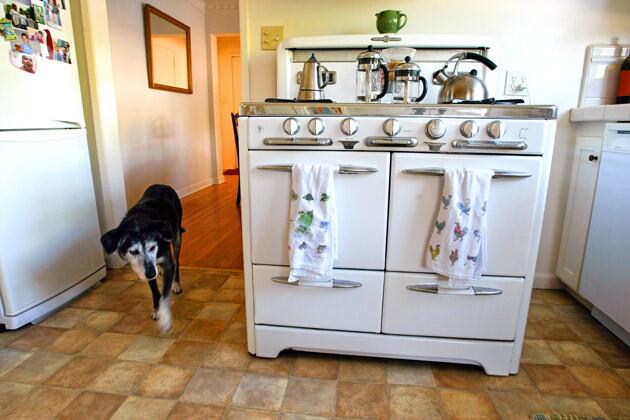 Cleo, a 14-year-old rescue dog, makes her way by the vintage O'Keefe & Merritt four-burner range. A chrome centerpiece that keeps food warm. A Chemex coffee maker, two French press pots and an espresso pot sit on top. Dish towels ¿ roosters on one, vegetables on the other ¿ hang on the oven door handles.