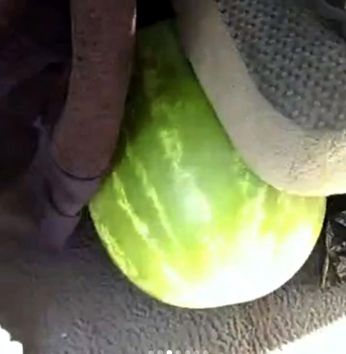 A watermelon is seen under the seat of a car.