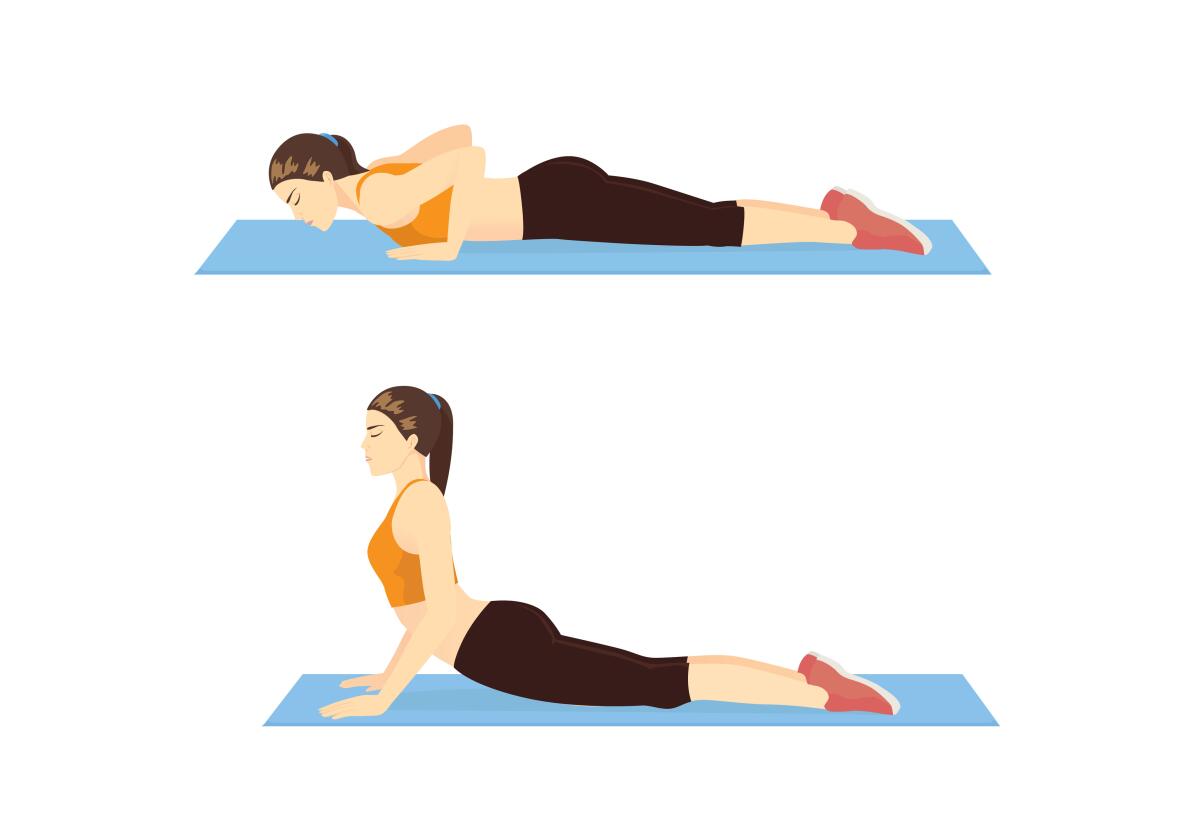 Woman doing Cobra Stretch Exercise on blue mat in 2 step. Illustration about Yoga pose relieve to lower Back Pain.