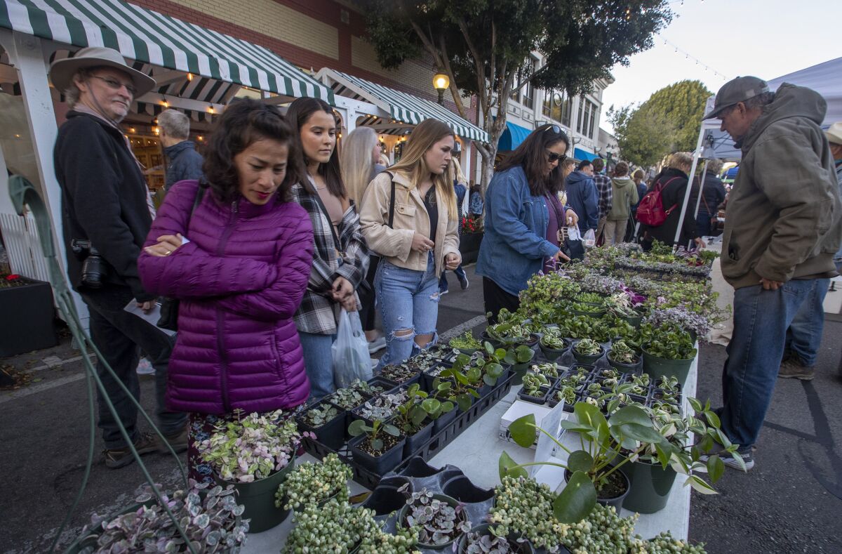 Patrons look over plants at the weekly Downtown SLO Farmers' Market in San Luis Obispo.