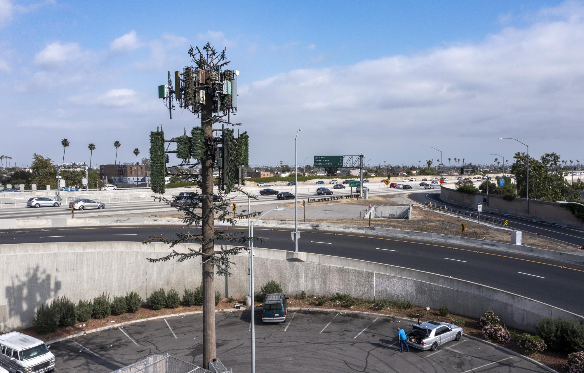 A cell tower disguised as a pine tree.
