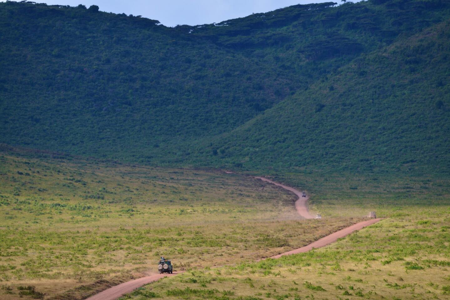 Ngorongoro Crater