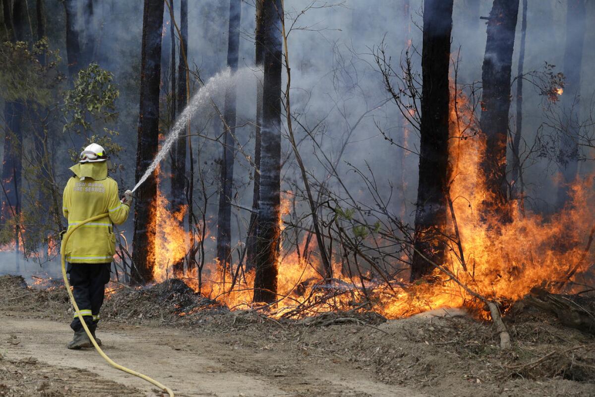 Un bombero combate las llamas cerca de Tomerong, Australia, el 8 de enero del 2020. Una fuerza de 72.000 bomberos voluntarios ayuda a combatir incendios forestales que están causando estragos en grandes extensiones de Australia.