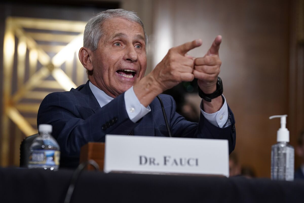 Dr. Anthony Fauci responds to accusations by Sen. Rand Paul at a Senate hearing