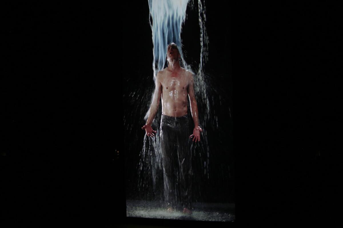 Bill Viola's "Inverted Birth," a cleansing video art moment before the L.A. Phil's performance of Arvo Pärt's "Los Angeles" symphony.