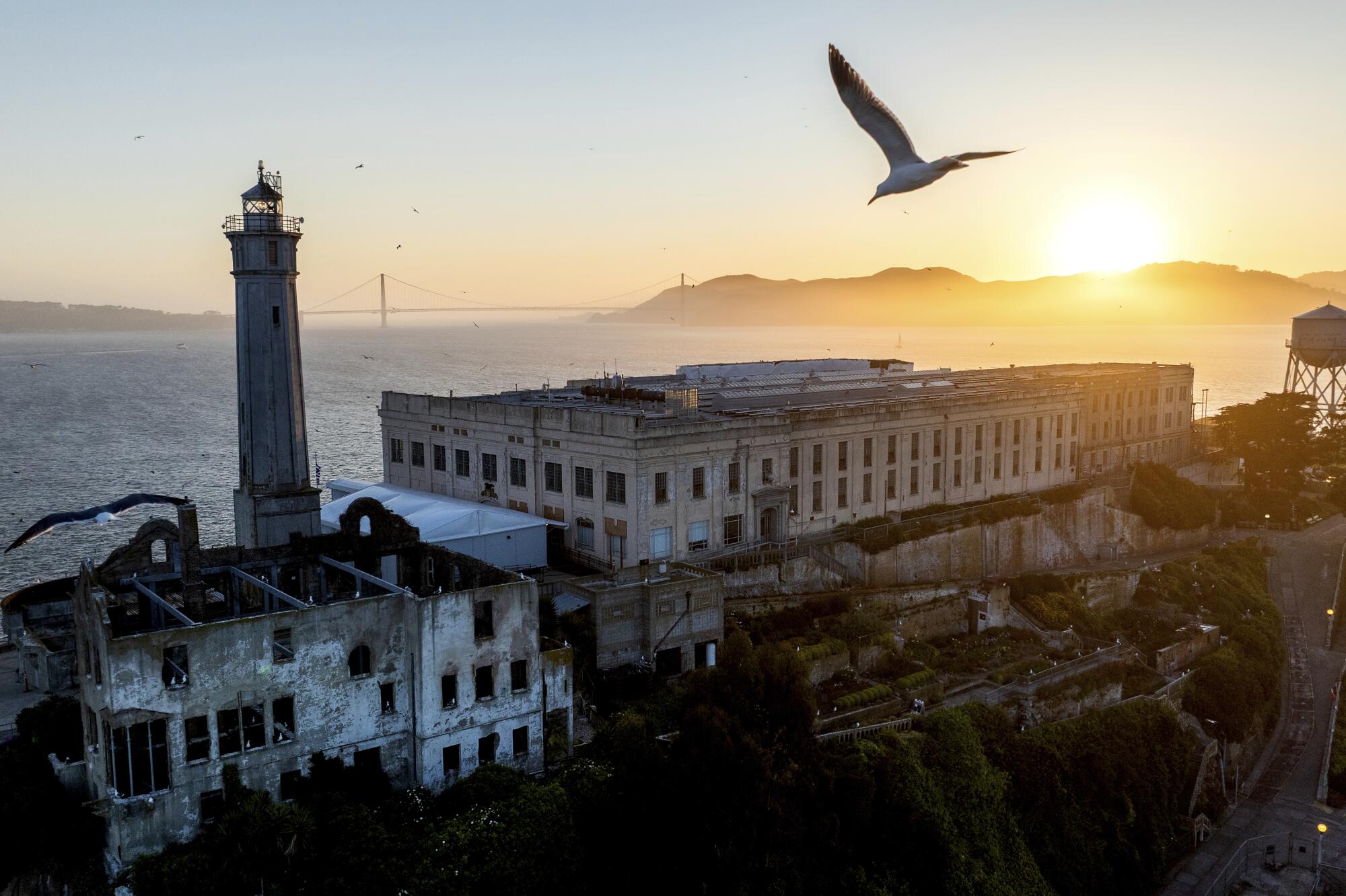 President Trump has called for Alcatraz prison to be reopened to house criminals.