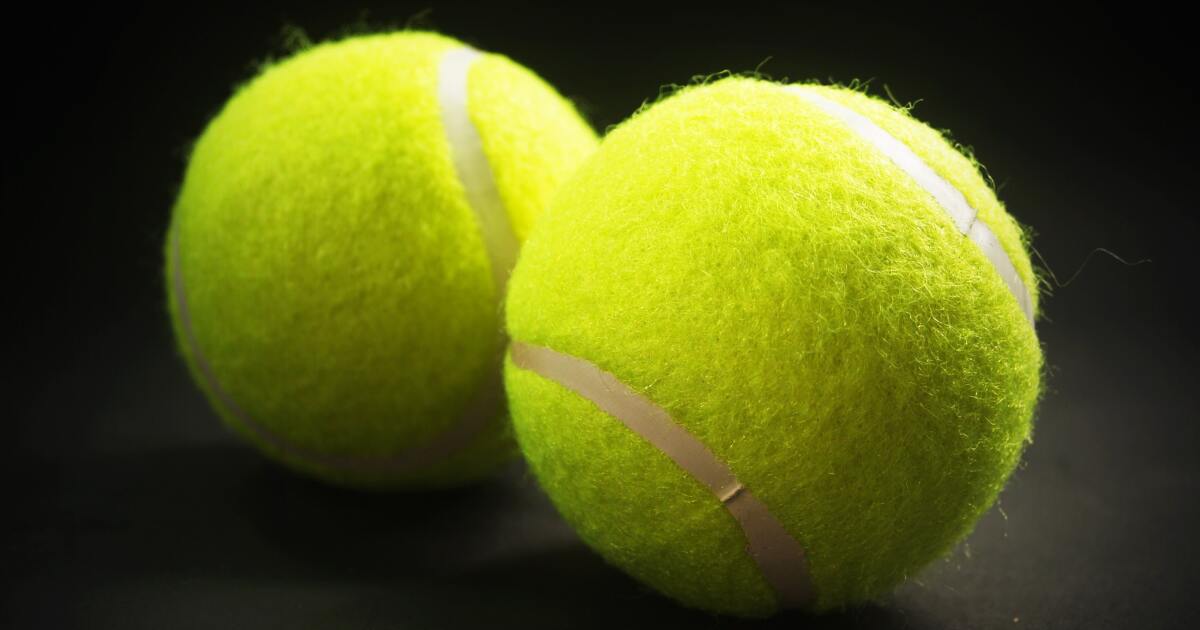 Granada Hills çiftler ikilisi City Section tenis unvanını kazandı