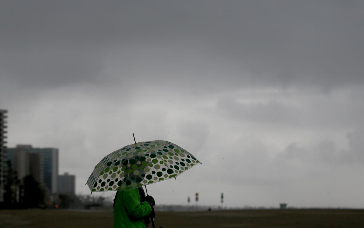 A person with an umbrella walks along the beach under a cloudy sky.