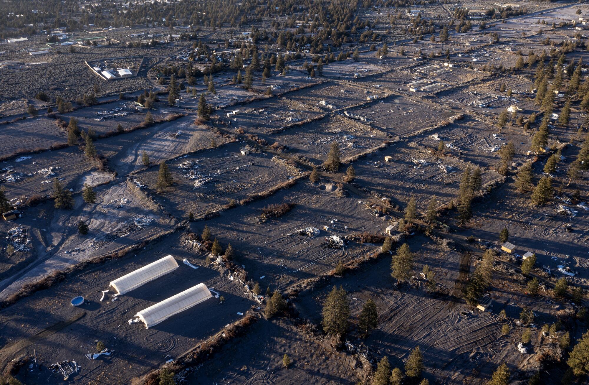 Aerial view of greenhouses illegally growing cannabis in Siskiyou County.
