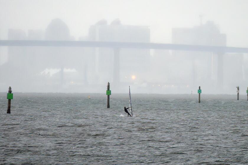 Chula Vista, CA - August 20: On Sunday, Aug. 20, 2023 in Chula Vista, a lone windsurfer with San Diego skyline in background takes advantage of the high winds that arrived with Storm Hillary. (Nelvin C. Cepeda / The San Diego Union-Tribune)
