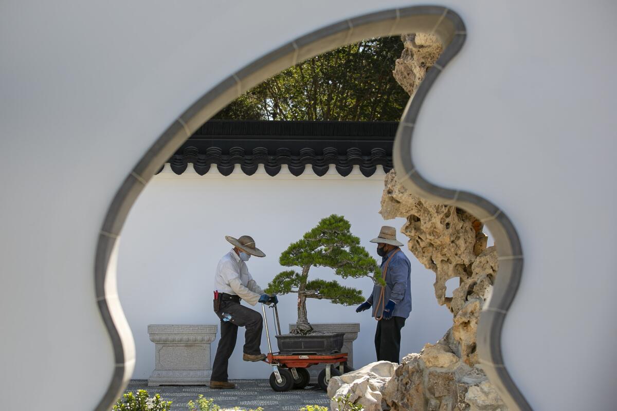 A cut-out in a wall in a Chinese-style structure reveals two men placing a miniaturized tree into place. 
