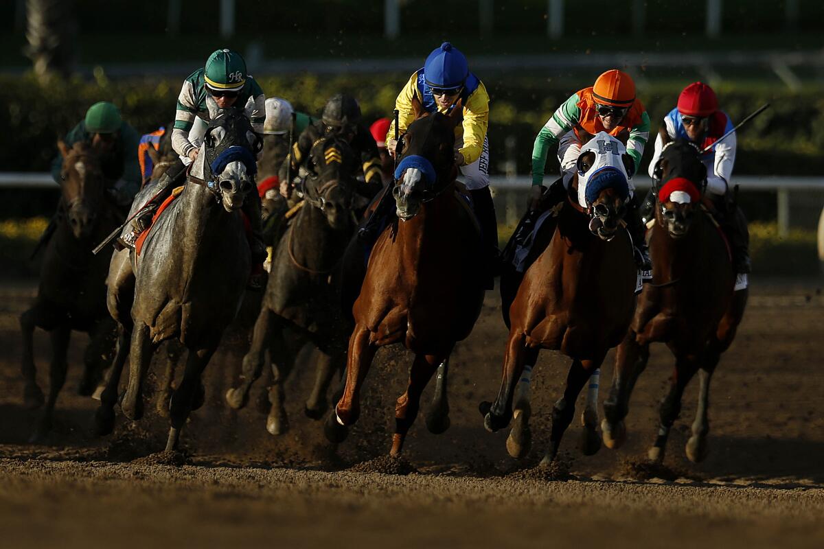 Horses race at Santa Anita Park in December 2018.