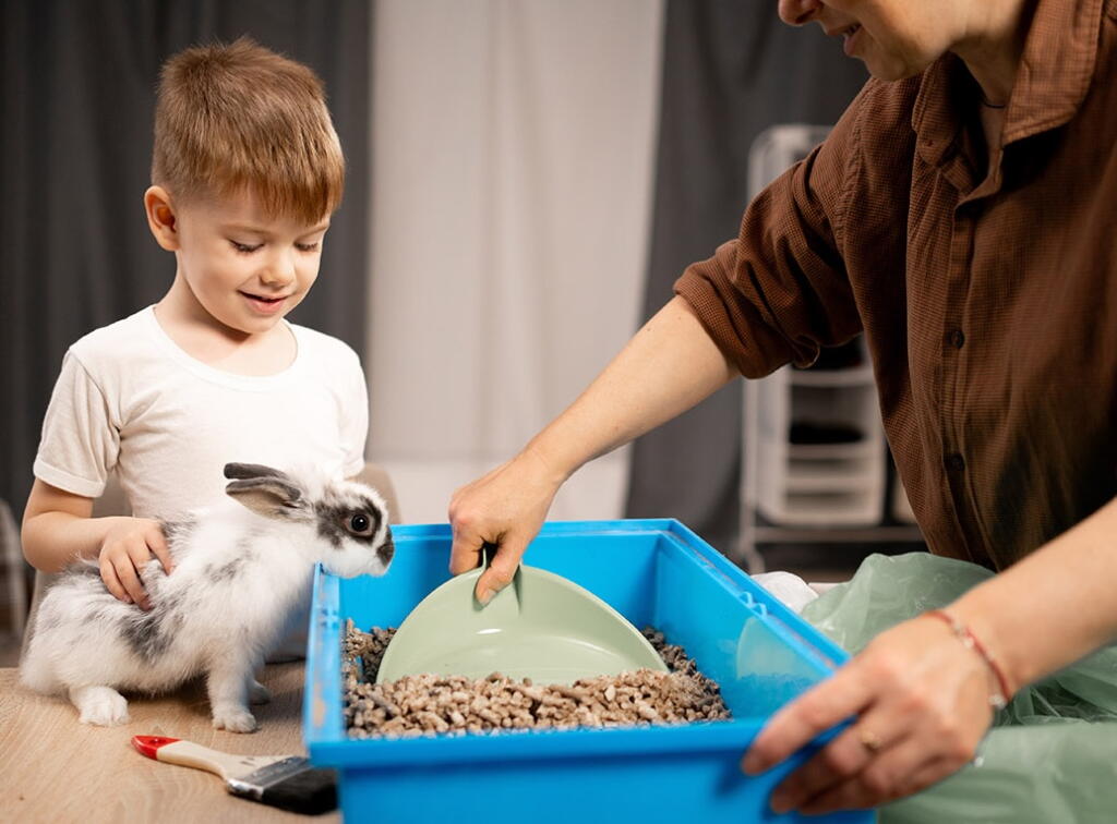 Do Rabbit Need Care Best Rabbit Care Tips: Feeding, Grooming, Housing, and Training - Los ...