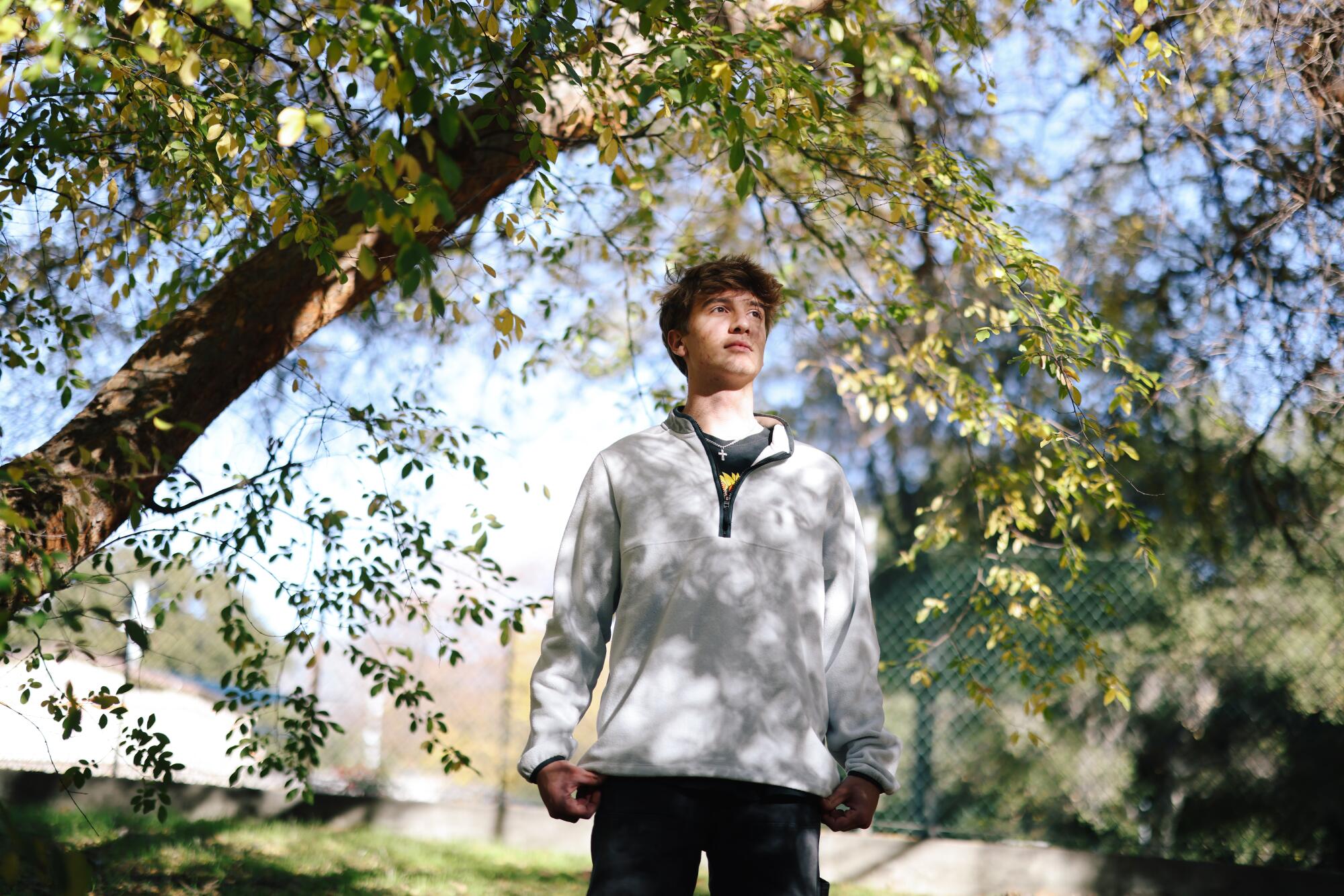 A young man in a sweatshirt stands under a tree.
