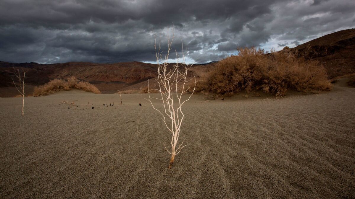 A storm approaches desert sands near Lone Pine, Calif. California agriculture faces a future of drought and flooding.