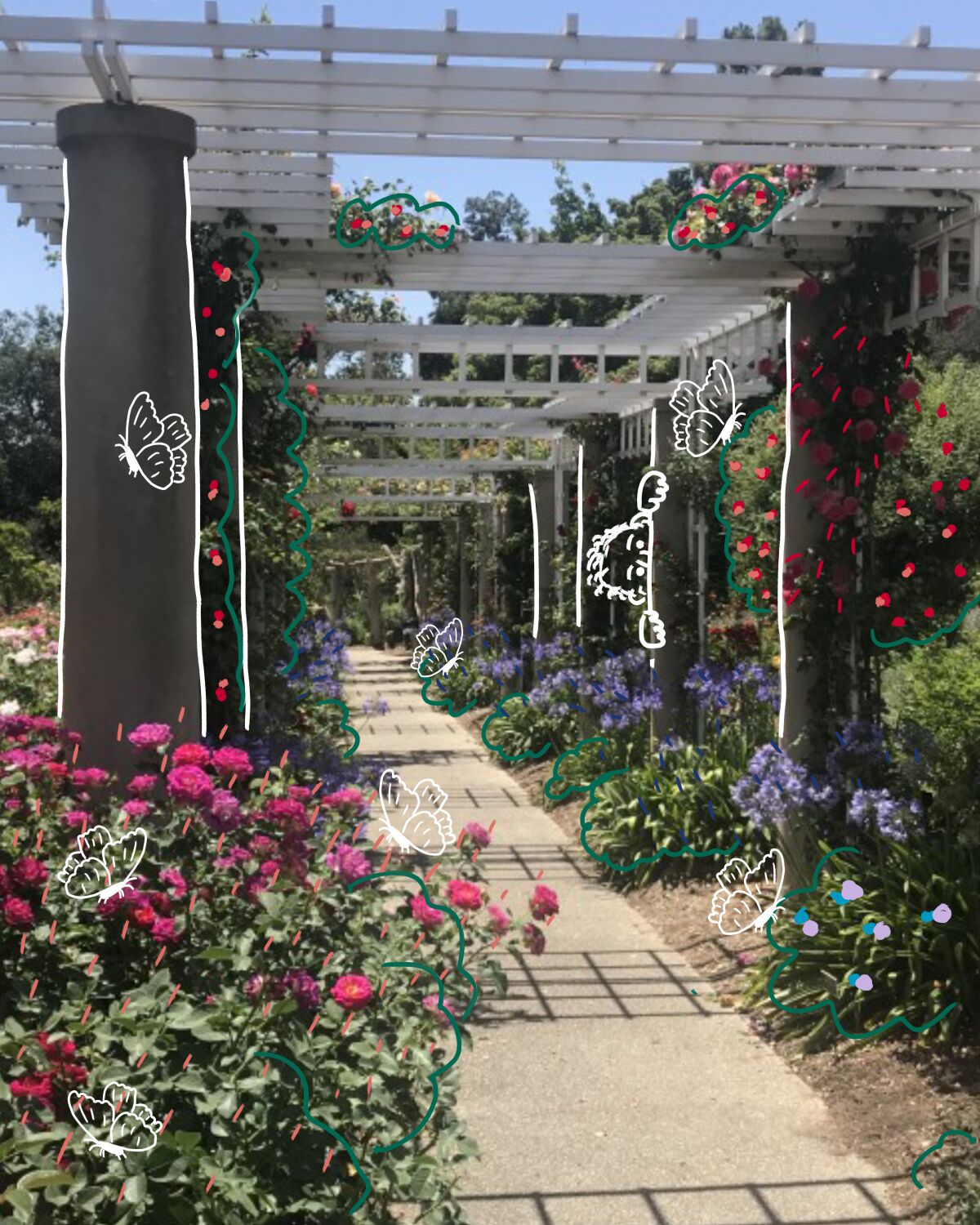 The Rose Garden at the Huntington Botanical Gardens in San Marino.