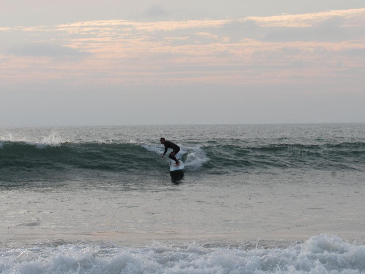 Photos: Big waves show at wild Wedge in Newport Beach – Orange County  Register