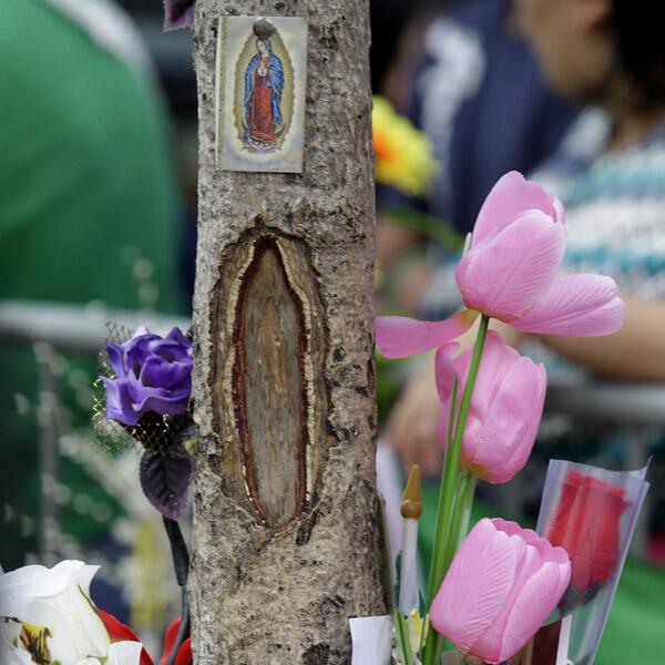 A tree trunk has become a centerpiece of a shrine in suburban New Jersey. Some are skeptical, others exuberant. The mayor of West New York, N.J., hopes to make the shrine permanent. More: Image appeared after fatal car crash, locals say