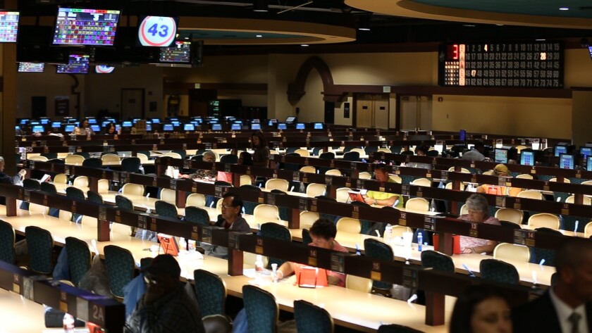 Sycuan casino bingo