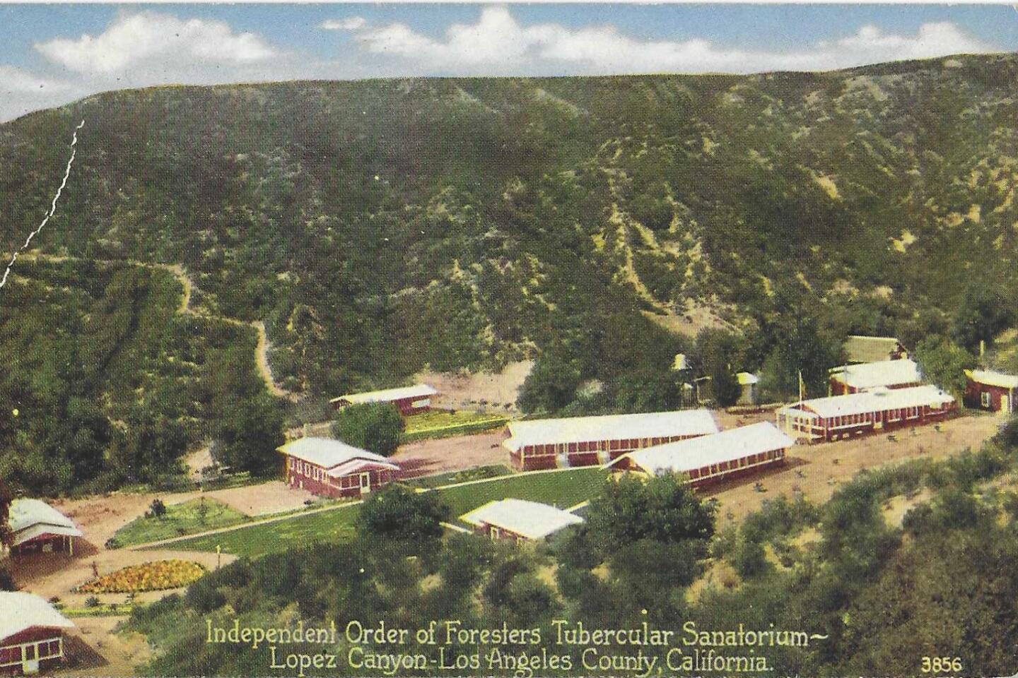 sanitarium-07-foresters-lopez-canyon.jpeg
