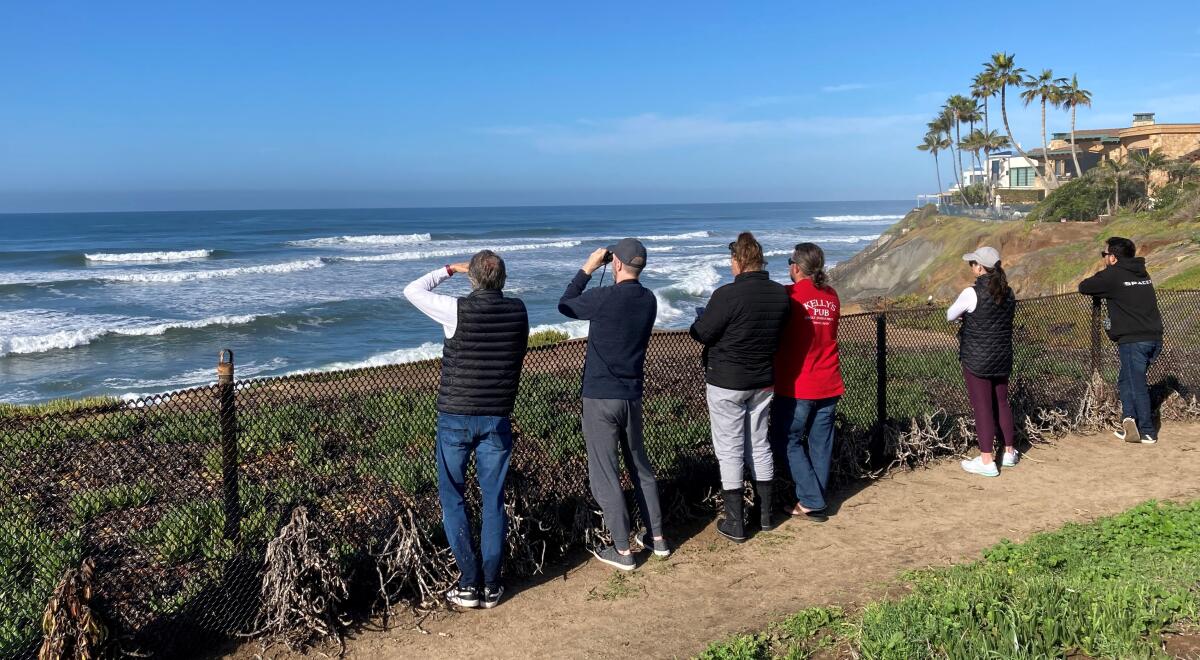 People watch a surfer ride a wave at Terramar Beach in Carlsbad.