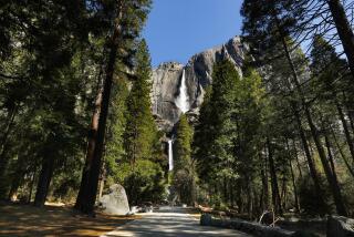 YOSEMITE NATIONAL PARK, CA - APRIL 11: Yosemite Falls seen without people due to the park closure on April 11, 2020. The trail is empty leading to Yosemite Falls in Yosemite Park due to the closure. Yosemite National Park is closed to visitors due to the coronavirus, Covid 19. Animals roam the park without having to worry about crowds of people. Madera County on Saturday, April 11, 2020 in Yosemite National Park, CA. (Carolyn Cole / Los Angeles Times)