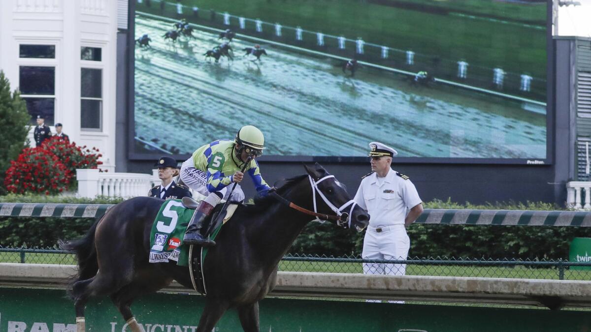 John Velazquez rides Always Dreaming down the home stretch as an infield video board shows his margin of lead in the 143rd Running of the Roses. To see more photos, click on the image above.