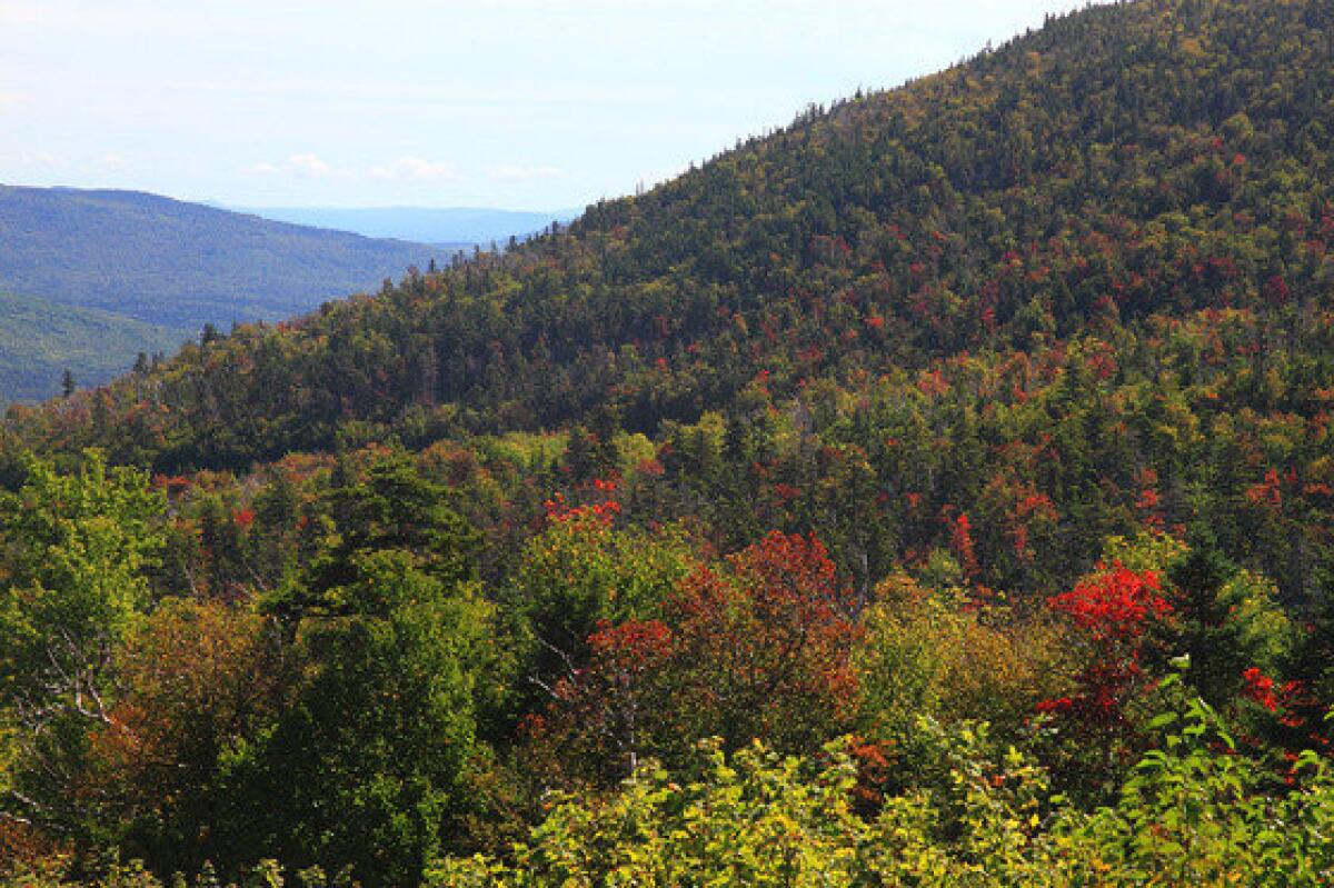 New Hampshire photographer and foliage expert Jim Salge spotted this early color at the higher elevations in New Hampshire's White Mountains earlier this month.