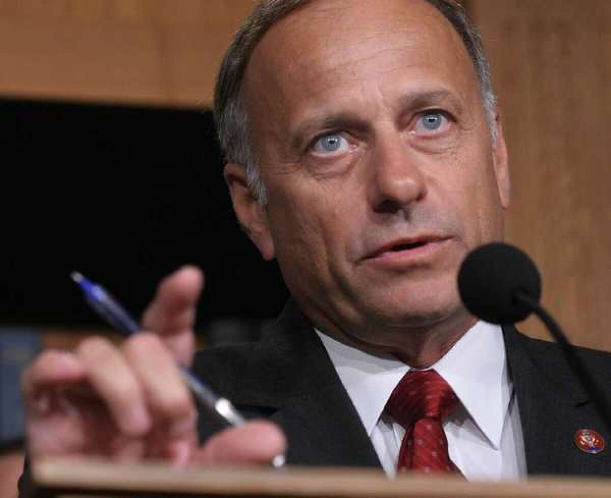 In this 2007 file photo, Rep. Steve King (R-Iowa) speaks to reporters on Capitol Hill in Washington.