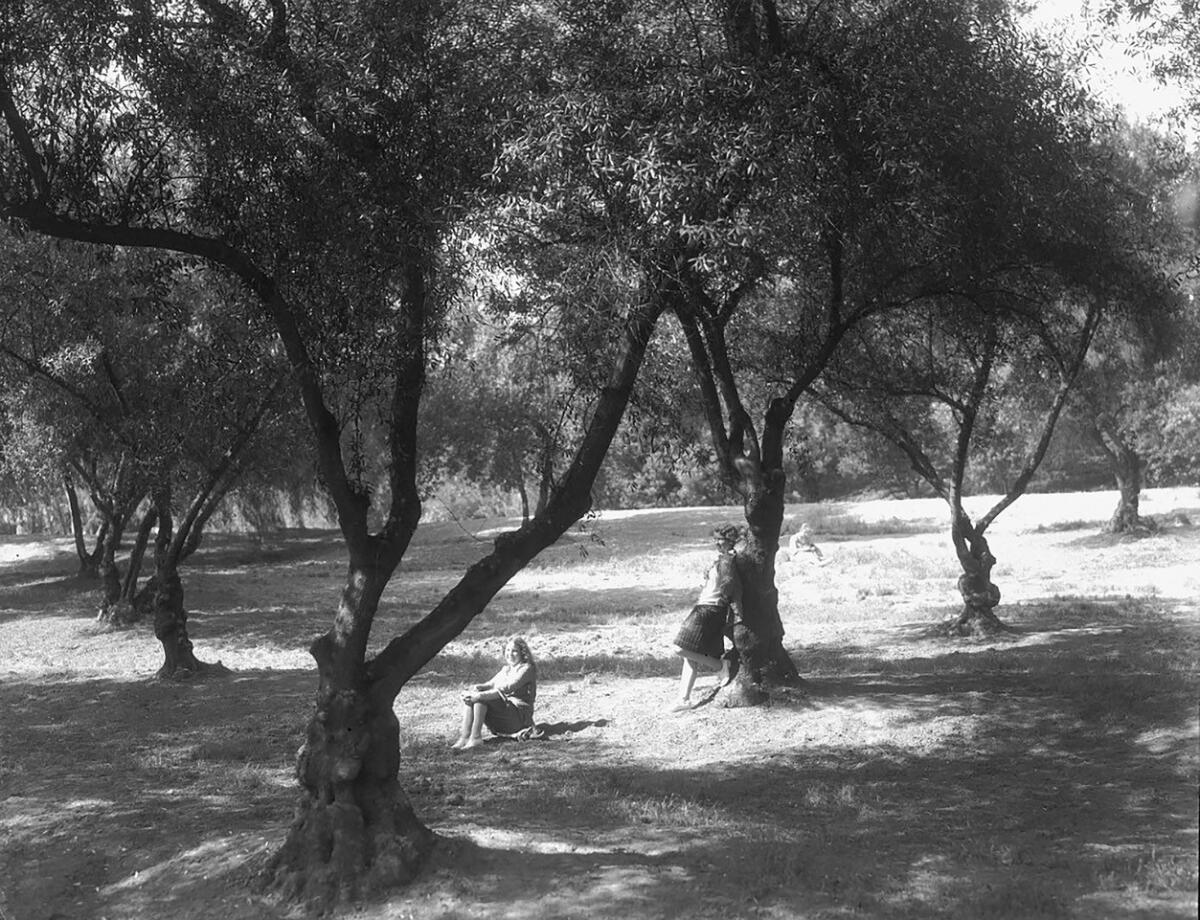 Two young women in the shade of a grove of trees.