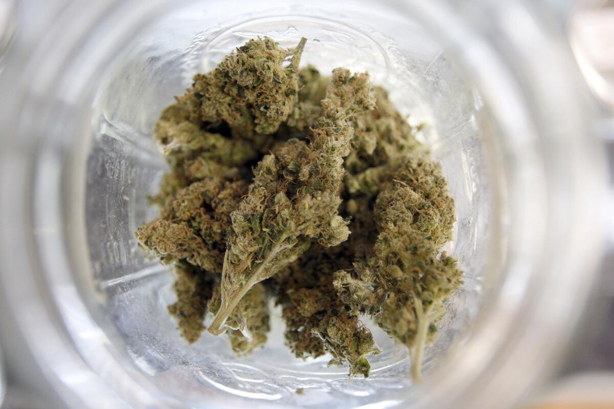 Marijuana in a jar at a medical pot dispensary.