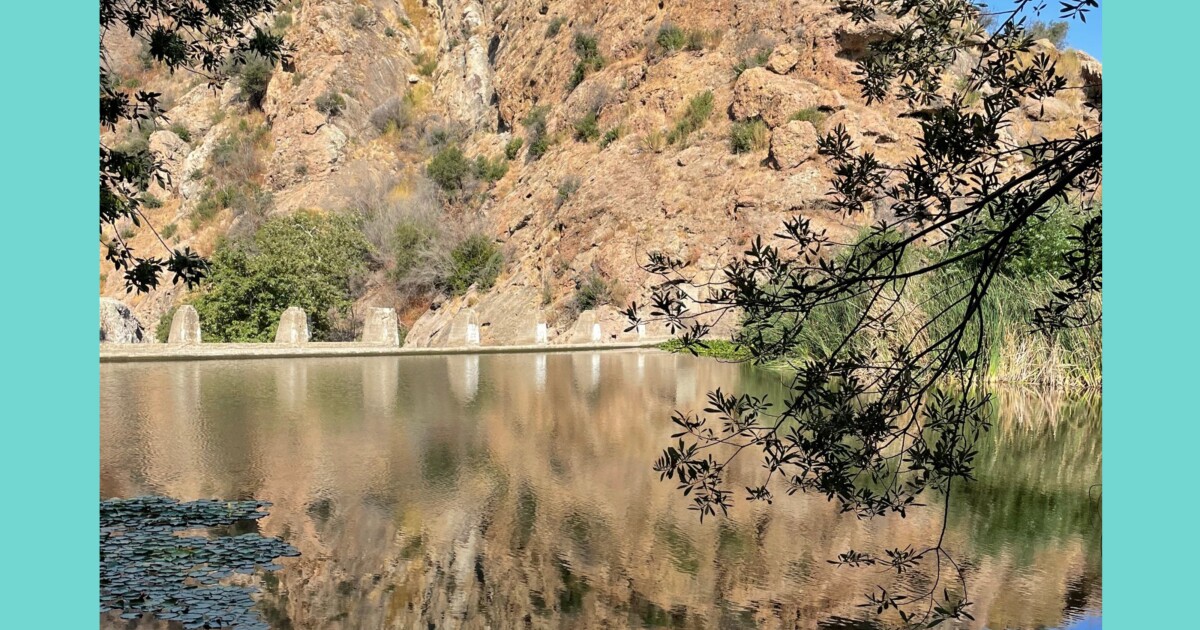 L.A.'s secret water hole hidden in plain sight