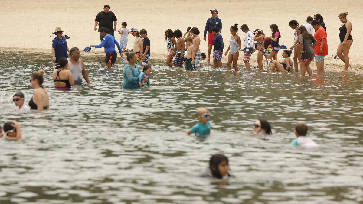Families play in the water at Castaic Lake Lagoon.